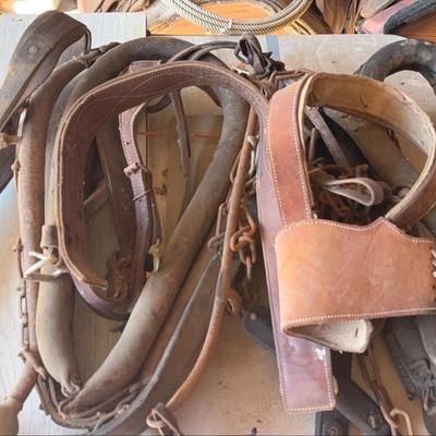 Horse Tack - Lot 3