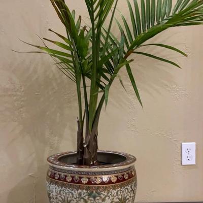 Chinese Porcelain Planter With Stand And Plant