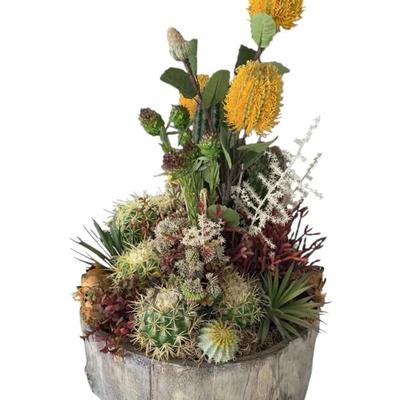Decorative Arrangement Featuring A Variety Of Artificial But Realistic Cacti & Succulents