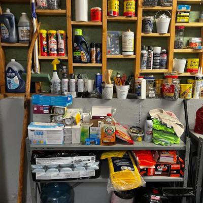 Assorted Cleaning and Garage Supplies