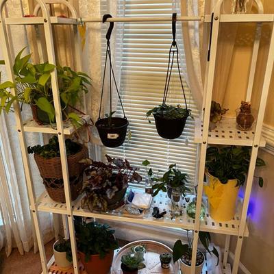 Plant Stand