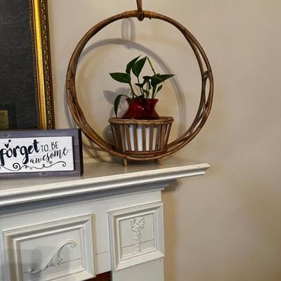 Rattan Planter with live Plant