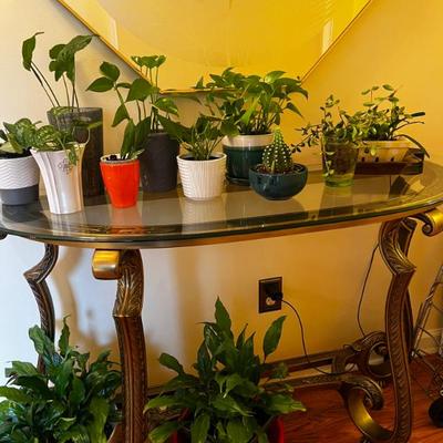 Wrought Iron Entry Table &  live houseplants