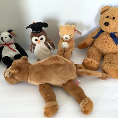 Beanie Babies And Beanie Buddies