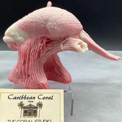 Coral Artisan Macaw