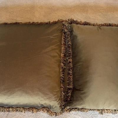 2 Large Decorative Pillows