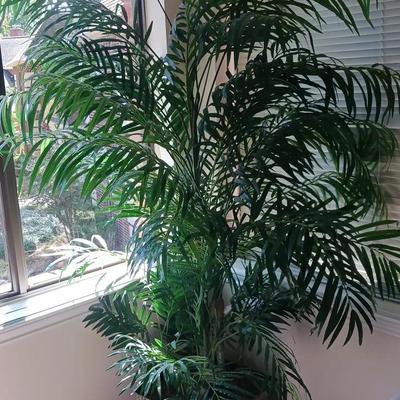 70" Tall Artifical Potted Palm Tree