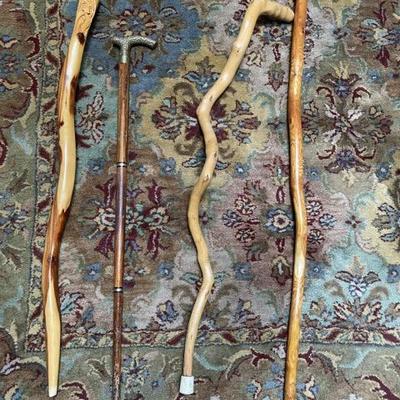 Walking sticks and canes