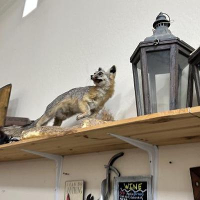 Sale Photo Thumbnail #53