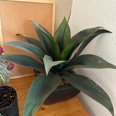 Sale Photo Thumbnail #197