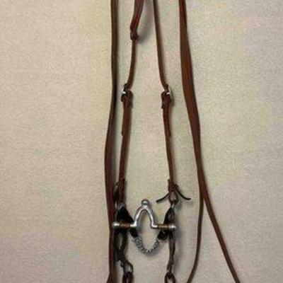 Sale Photo Thumbnail #256: 452 • western bridle with flarida:hobbs correctional bit