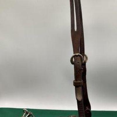 481 • leather split ear bridle with sliester bit