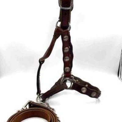Sale Photo Thumbnail #242: 438 • vintage show halter with silver conchos and lead