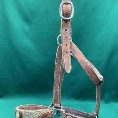 441 • working leather bronc halter