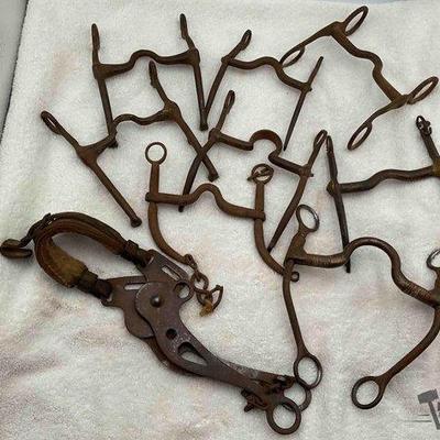 Sale Photo Thumbnail #219: 386 • 8 antique bits and 1 antique hackamore