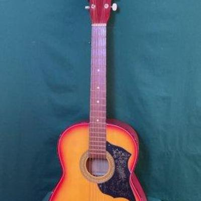 775 • checkmate acoustic guitar with carry case