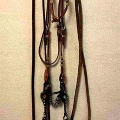 Sale Photo Thumbnail #262: 458 • western bridle with silver les vogt performax bit