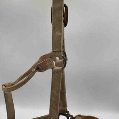 Sale Photo Thumbnail #248: 444 • nylon halter with bling and dark iron hardware