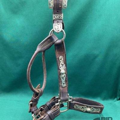 437 • vintage filigree show halter with silver overlay