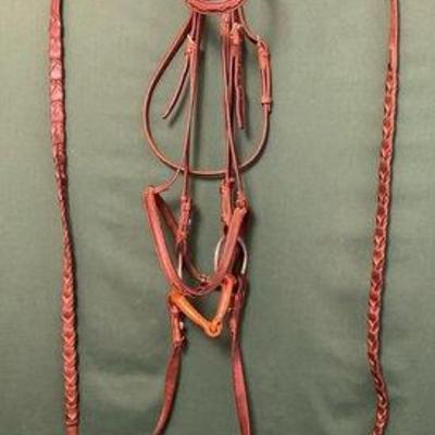 119 • english bridle setup with reins and two extra sets of reins