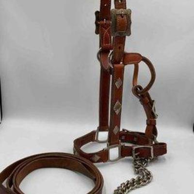 Sale Photo Thumbnail #239: 435 • western show halter with silver overlay and lead