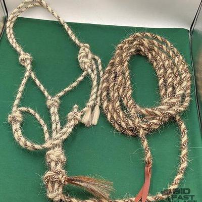 Sale Photo Thumbnail #250: 446 • braided horsehair halter and lead