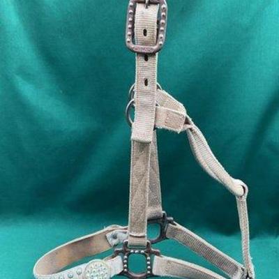 444 • nylon halter with bling and dark iron hardware