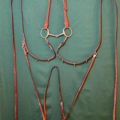 758 • german martingale with bridle and extra neck strap