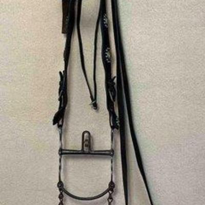 Sale Photo Thumbnail #265: 461 • antique western bridle with bird head shank bit