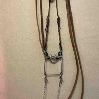 459 • leather and rawhide bridle with quick bit