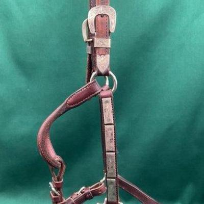 427 • vintage sterling silver engraved show halter with protective bag