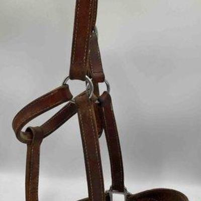 Sale Photo Thumbnail #245: 441 • working leather bronc halter