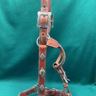 435 • western show halter with silver overlay and lead