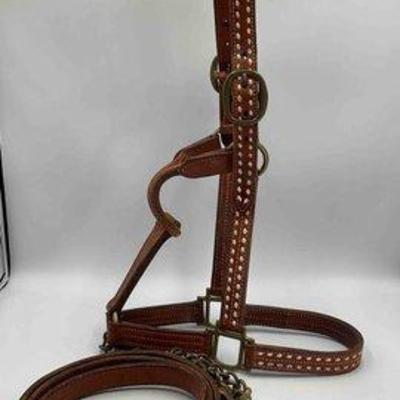 436 • mac pherson show halter with buck stitching and matching lead
