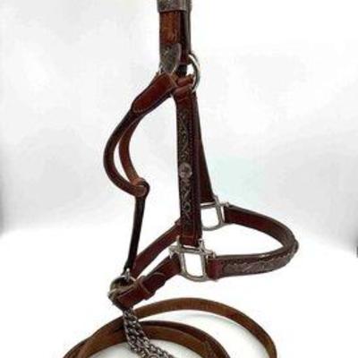 Sale Photo Thumbnail #230: 425 • vintage sterling silver engraved show halter with lead