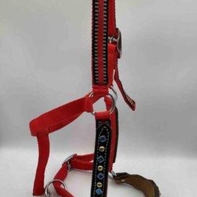 Sale Photo Thumbnail #247: 443 • nylon halter with leather and bling