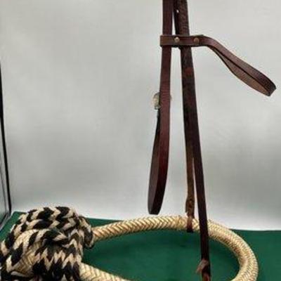 579 • rawhide bosal with headstall and cotton macate rope