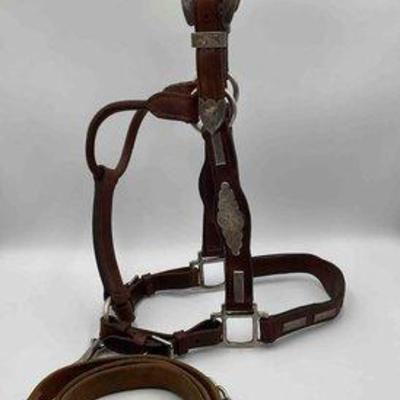 Sale Photo Thumbnail #235: 431 • vintage sterling silver engraved show halter with lead
