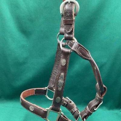 440 • vintage silver engraved show halter