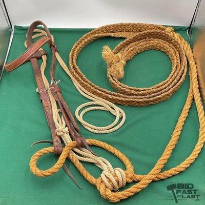 496 • western warm up : loping bridle