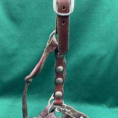 438 • vintage show halter with silver conchos and lead