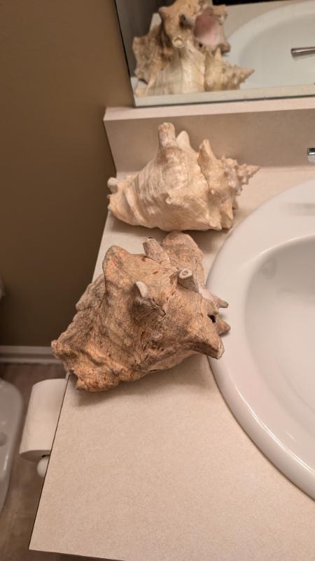 Sale Photo Thumbnail #302