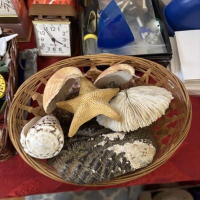 Sale Photo Thumbnail #361