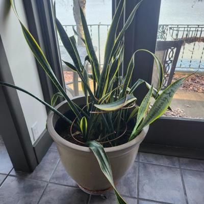 Sale Photo Thumbnail #96