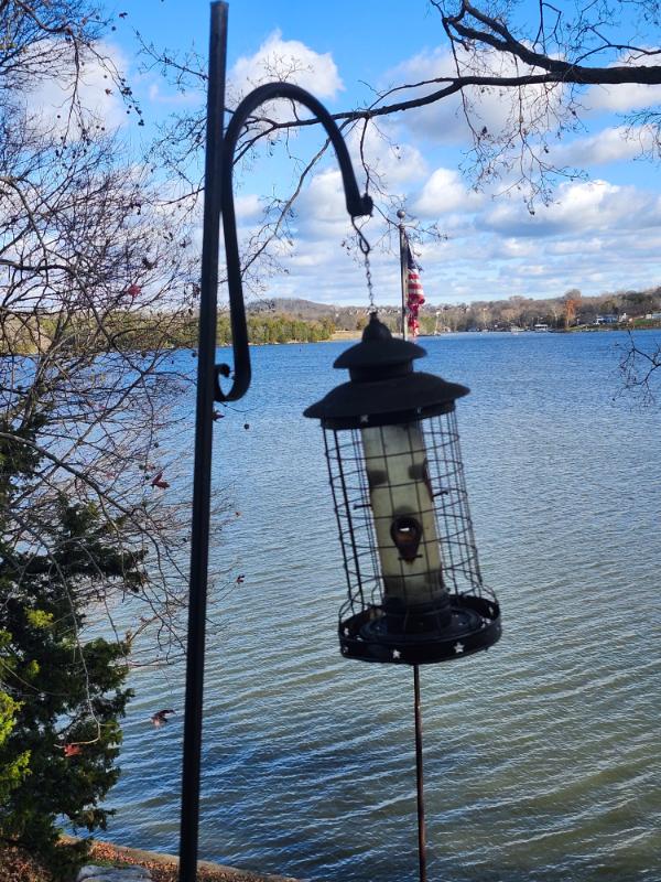 Sale Photo Thumbnail #454