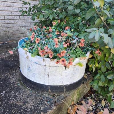 Sale Photo Thumbnail #433