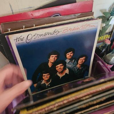 Sale Photo Thumbnail #101