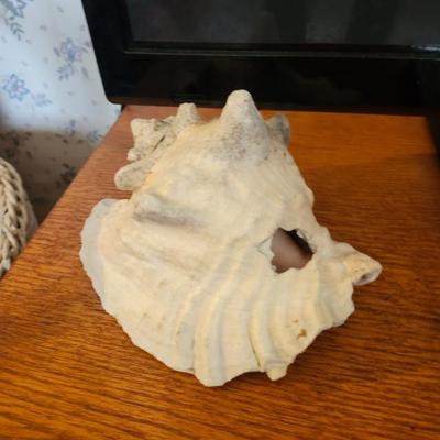 Sale Photo Thumbnail #411