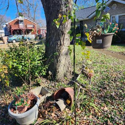 Sale Photo Thumbnail #438