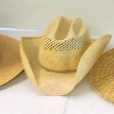 Straw Cowboy Style Hats (3)